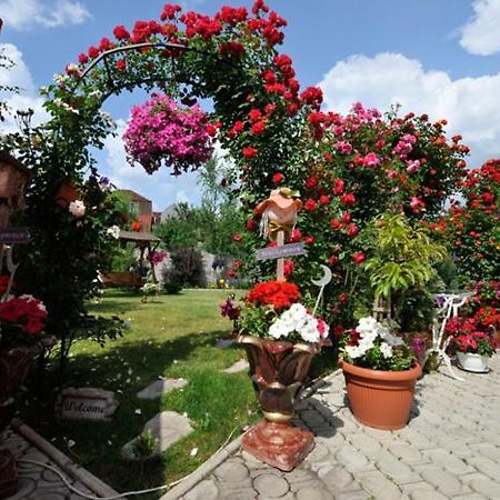 Pensiunea Sofia Timisoara Exterior foto