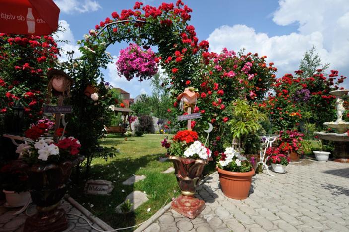 Pensiunea Sofia Timisoara Exterior foto
